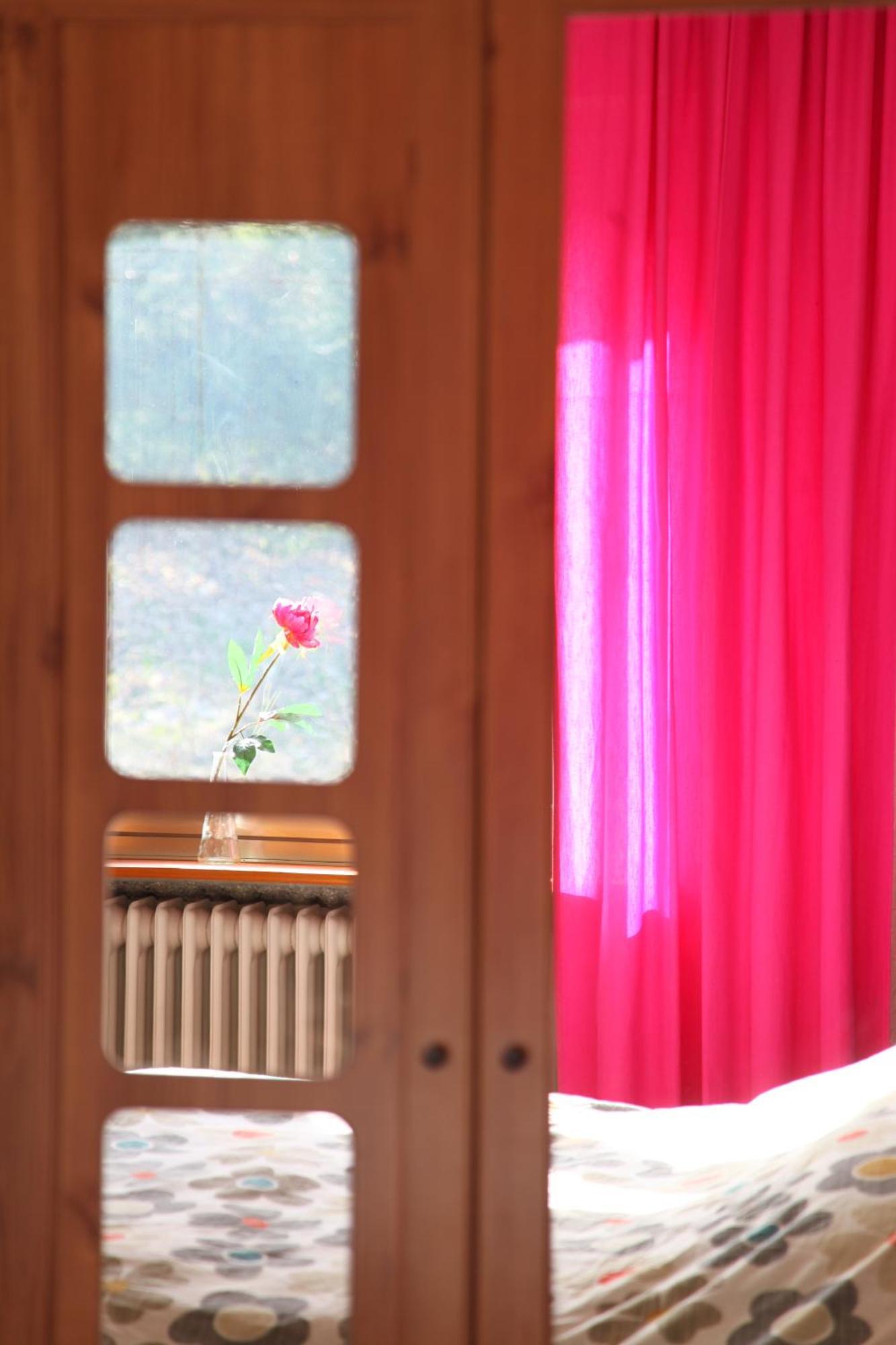 مبيت وإفطار هالنغبرغ Haus Nova Am Bollerberg المظهر الخارجي الصورة